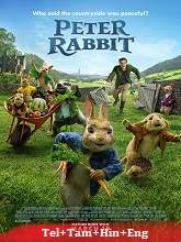 Peter Rabbit
